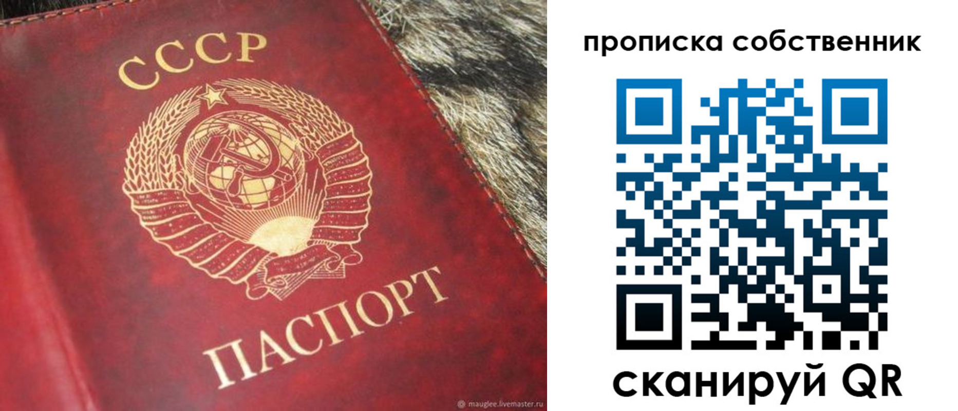 прописка в квартире в Реутове
